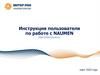 Инструкция пользователя по работе с Naumen