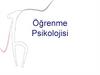 Öğrenme Psikolojisi