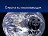 Охрана млекопитающих