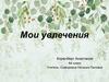 Мои увлечения