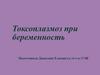 Токсоплазмоз при беременность