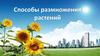 Способы размножения растений