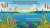 Экосистема водоёма. Экологический фестиваль «Знатоки природы» для дошкольных учреждений
