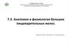 Анатомия и физиология больших пищеварительных желез