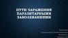 Пути заражения паразитарными заболеваниями