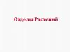 Отделы Растений