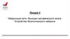 Нейронные сети. Функции человеческого мозга. Устройство биологического нейрона.  Лекция 4