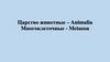 Царство животные – Animalia. Многоклеточные - Metazoa. Лекция 5. Часть 1