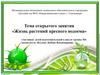 Жизнь растений пресного водоема