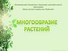 Многообразие растений
