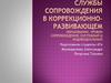 Службы сопровождения в коррекционно-развивающем образовании. Уровни сопровождения системный и индивидуальный
