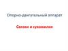 Связки и сухожилия. Опорно-двигательный аппарат