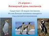 Пингвины. Виды пингвинов