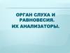 Орган слуха и равновесия. Их анализаторы
