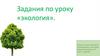 Задания по уроку «Экология»