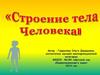 Строение тела человека