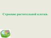 Строение растительной клетки