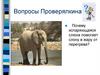 Вопросы Проверялкина