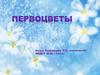 Первоцветы