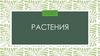 Растения