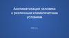 Акклиматизация человека к различным климатическим условиям