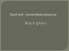 Край мой - земля Нижегородская. Викторина