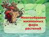 Многообразие жизненных форм растений