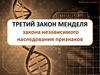 Третий закон Менделя. Урок 4