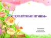 Перелетные птицы. Весна