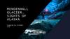 Mendenhall glacier. Sights of Аlaska