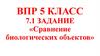 Сравнение биологических объектов. Задание № 1  (5 класс)