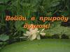 Войди в природу другом