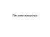 Питание животных
