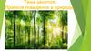 Правила поведения в природе