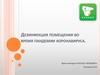 Дезинфекция помещения во время пандемии коронавируса