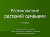 Размножение растений семенами. 5 класс