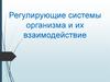 Регулирующие системы организма и их взаимодействие