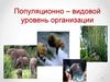 Популяционно-видовой уровень организации
