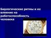 Биологические ритмы и их влияние на работоспособность человека