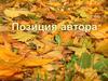 Позиция автора