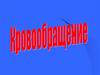 Круги кровообращения