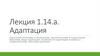 Адаптация