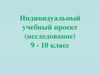 Индивидуальный учебный проект