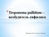 Бледная трепонема - возбудитель сифилиса