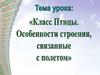 Птицы. Особенности строения
