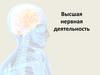 Высшая нервная деятельность