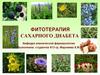 Фитотерапия сахарного диабета