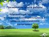 Организация проектно-исследовательской деятельности в процессе экологического воспитания