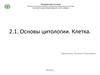 Основы цитологии. Клетка