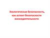 Экологическая безопасность, как аспект безопасности жизнедеятельности